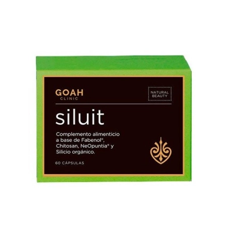 Goah Clinic Siluit