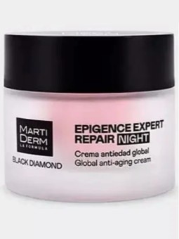 Black Diamond Epigence Expert Repair Noche